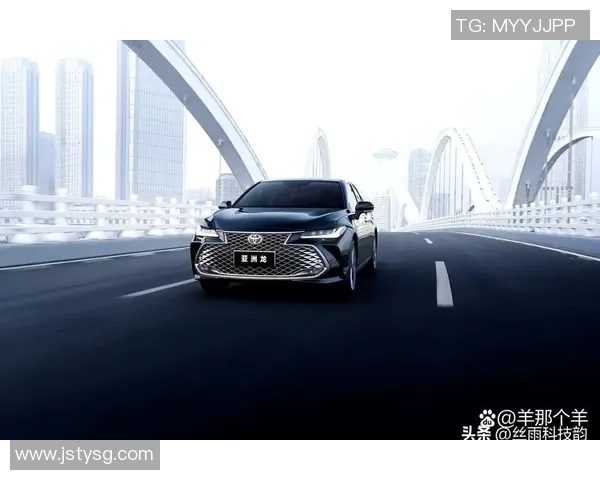 南京排球队在洲际杯积分榜上以87分稳居第一名展现强劲实力